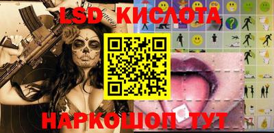 шишки Новодвинск