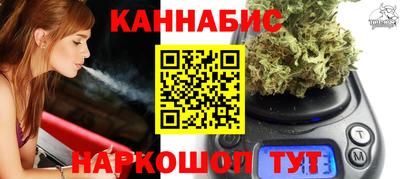 шишки Новодвинск