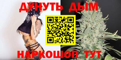шишки Новодвинск