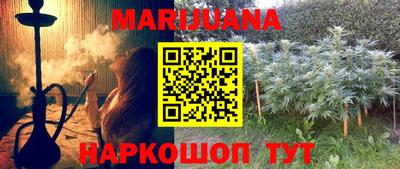шишки Новодвинск