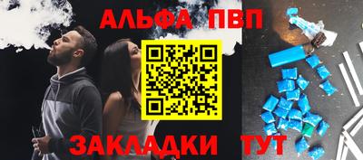 шишки Новодвинск