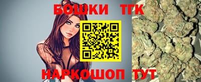 шишки Новодвинск