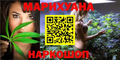 шишки Новодвинск