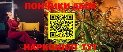 шишки Новодвинск