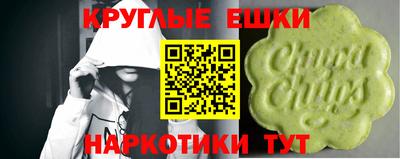 шишки Новодвинск
