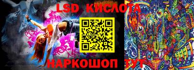 шишки Новодвинск