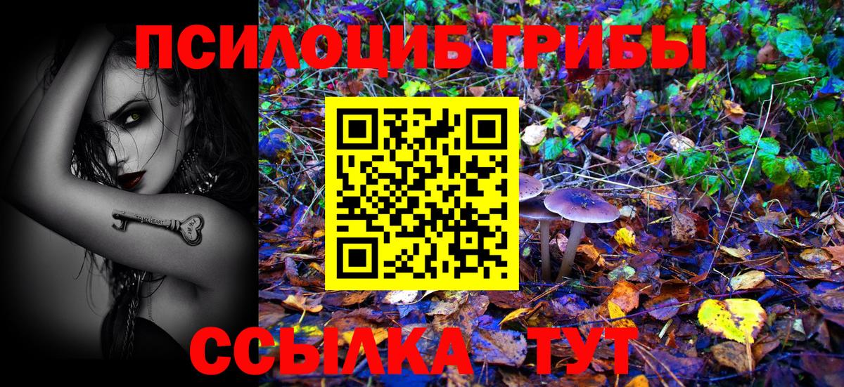 Галлюциногенные грибы Psilocybe  Псилоцибиновые грибы ЛСД  Вход с VPN  Пенза 